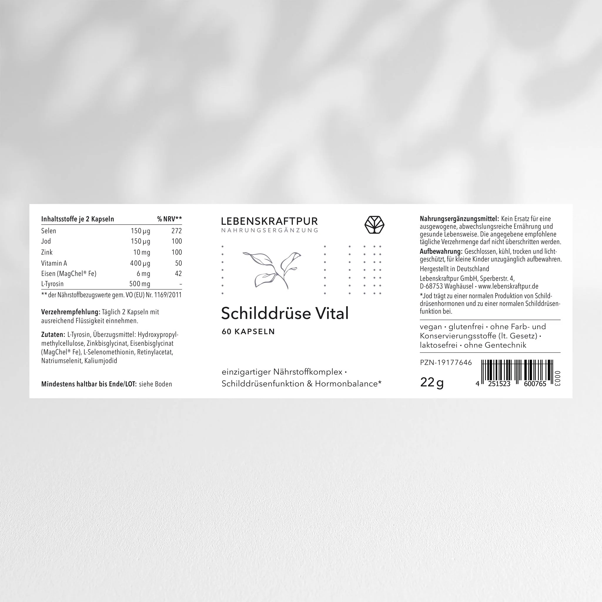 Vorschaubild 2